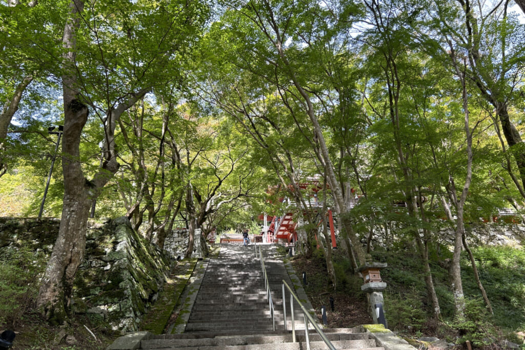 談山神社境内の石段