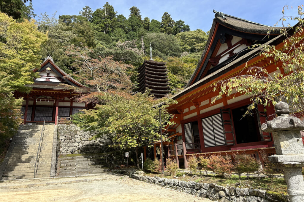 毎年春と秋に蹴鞠が行われるお堂の間の広場