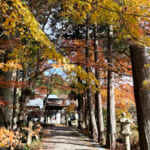 【画像】箱根ハイクと金時山登山をダブルで完遂！　仙石原の古刹「長安寺」で表情豊かな五百羅漢像に心癒される 〜 画像1