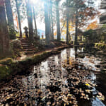 【画像】箱根ハイクと金時山登山をダブルで完遂！　仙石原の古刹「長安寺」で表情豊かな五百羅漢像に心癒される 〜 画像1