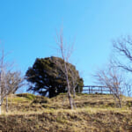 【画像】チャリダーの憧れ「坂バカの聖地」葉山・仙元山登山口が平均勾配16％のゲキ坂の連続に撃沈…… 〜 画像1