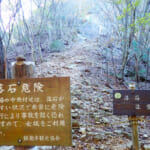 【画像】海が見えなくとも、埼玉県でも伊豆！　飯能アルプスの主峰「伊豆ヶ岳ハイク」は聖地巡りの宝石箱 〜 画像1