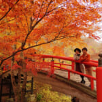 【画像】紅葉狩りはなぜ「狩り」と呼ぶのか？　秋の行楽シーズンをさらに楽しむための豆知識とは 〜 画像1