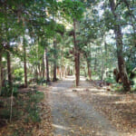 【画像】湘南の海に迫る低山アルプスの高麗山！　海と富士の絶景と遺跡を巡る「ミステリーツアー」 〜 画像1