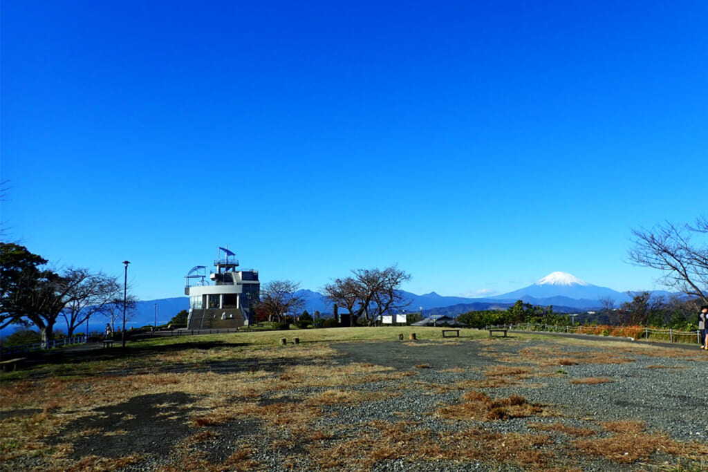 湘南平から望む富士山