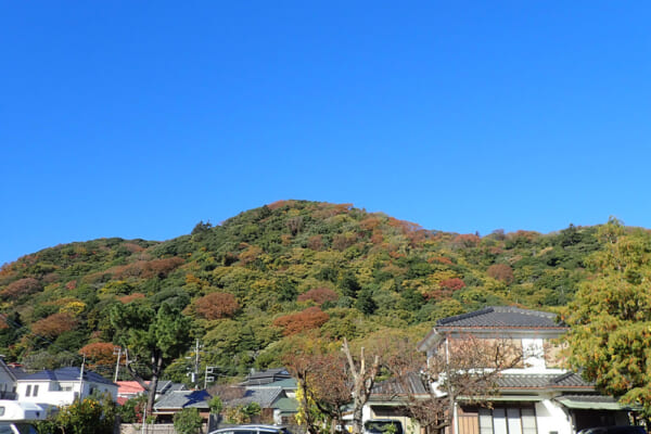 丸い山容の高麗山