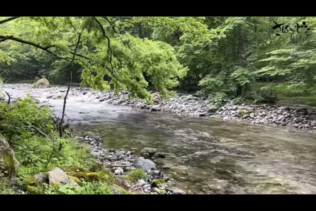 タイマグラキャンプ場の近くを流れる渓流