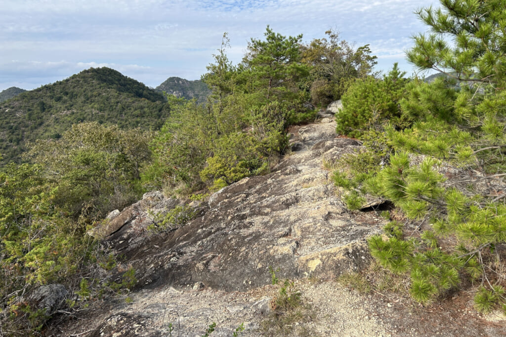 高御座山の登山道