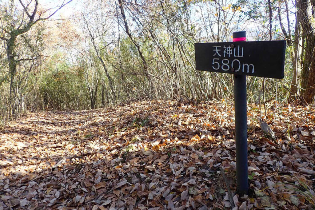 天神山の山頂