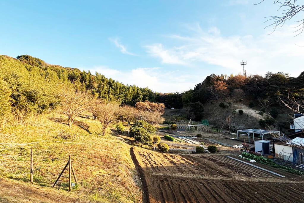 隠れ里な畑地