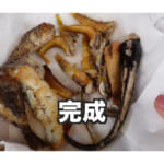 【画像】アラフィフ女子が美味しい魚を求めて日本海へ！　毒魚を爆釣するも友人との自由気ままな「釣行車中泊旅」に視聴者も癒やされる 〜 画像1