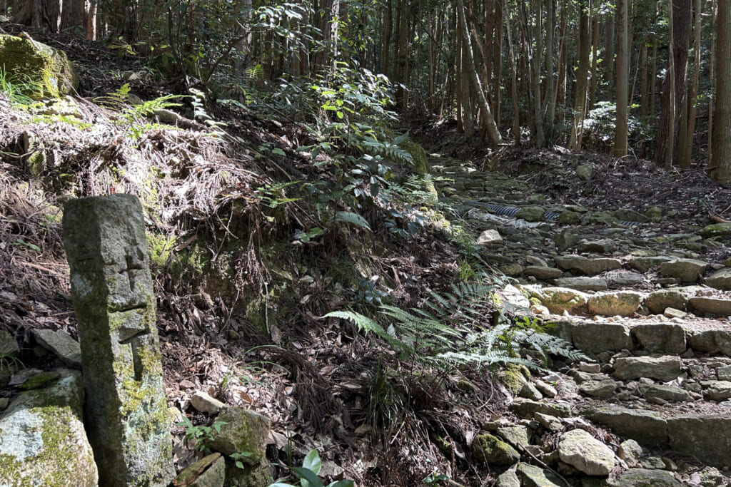 石段の登山道