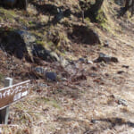 【画像】観梅低山ハイキングを湯河原で！　咲きはじめの湯河原梅林から幕山〜南郷山の縦走を歩く 〜 画像1