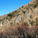 【画像】観梅低山ハイキングを湯河原で！　咲きはじめの湯河原梅林から幕山〜南郷山の縦走を歩く 〜 画像1