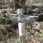 【画像】観梅低山ハイキングを湯河原で！　咲きはじめの湯河原梅林から幕山〜南郷山の縦走を歩く 〜 画像1