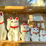 【画像】招き猫が幸運を呼ぶ！　愛猫家の聖地「豪徳寺」詣でのご褒美は「ベビーカステラ」でちょっぴりスイートな舌鼓 〜 画像1