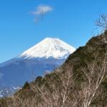 【画像】沼津アルプス踏破後の山飯が旨すぎる！　海鮮系＆肉系ラーメンを食べ比べる「塩バタラーメン」と「焼豚明太高菜豚骨ラーメン」って反則でしょ 〜 画像1