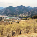 【画像】富士山を望む丹沢・鍋割山で「ロウバイまつり」と「鍋焼きうどん」！　美味とスイートな芳香と彩りに魅せられる王道ハイク 〜 画像1