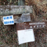 【画像】リスキーな垂直岩壁の「四阿屋山」登山！　秩父が誇る鋭鋒でセツブンソウとフクジュソウの群生を愛でる 〜 画像1