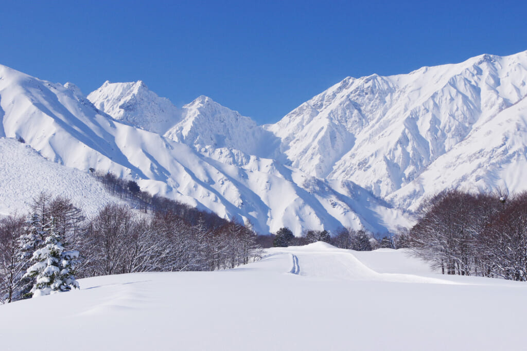 北尾根高原