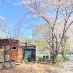 【画像】桜を愛でながら“サ活”なんてサイコー！　埼玉県ときがわ町の「COMORIVER」で「お花見サウナフェス」開催 〜 画像1