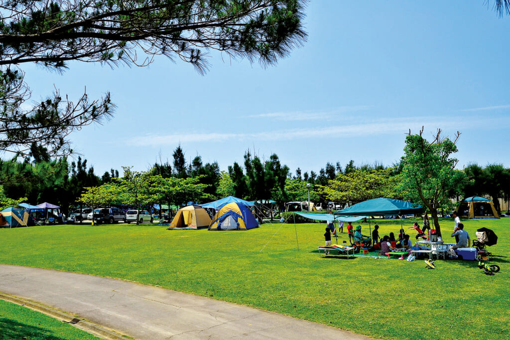 沖縄県沖縄市の沖縄県総合運動公園 オートキャンプ場