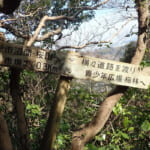 【画像】初春の三浦アルプスで梅の花鑑賞！　山行と観梅のダブルを満喫する“ゆるり”ハイクを堪能 〜 画像1