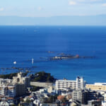 【画像】初春の三浦アルプスで梅の花鑑賞！　山行と観梅のダブルを満喫する“ゆるり”ハイクを堪能 〜 画像1