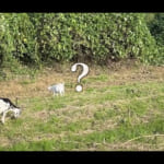 【画像】ローディの聖地を走る！　景色の移り変わりも楽しめる下流〜上流を往復する「荒川CR180kmロングライド」に視聴者も反応、コメントが溢れる 〜 画像1